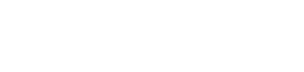 WhiteSource Logo